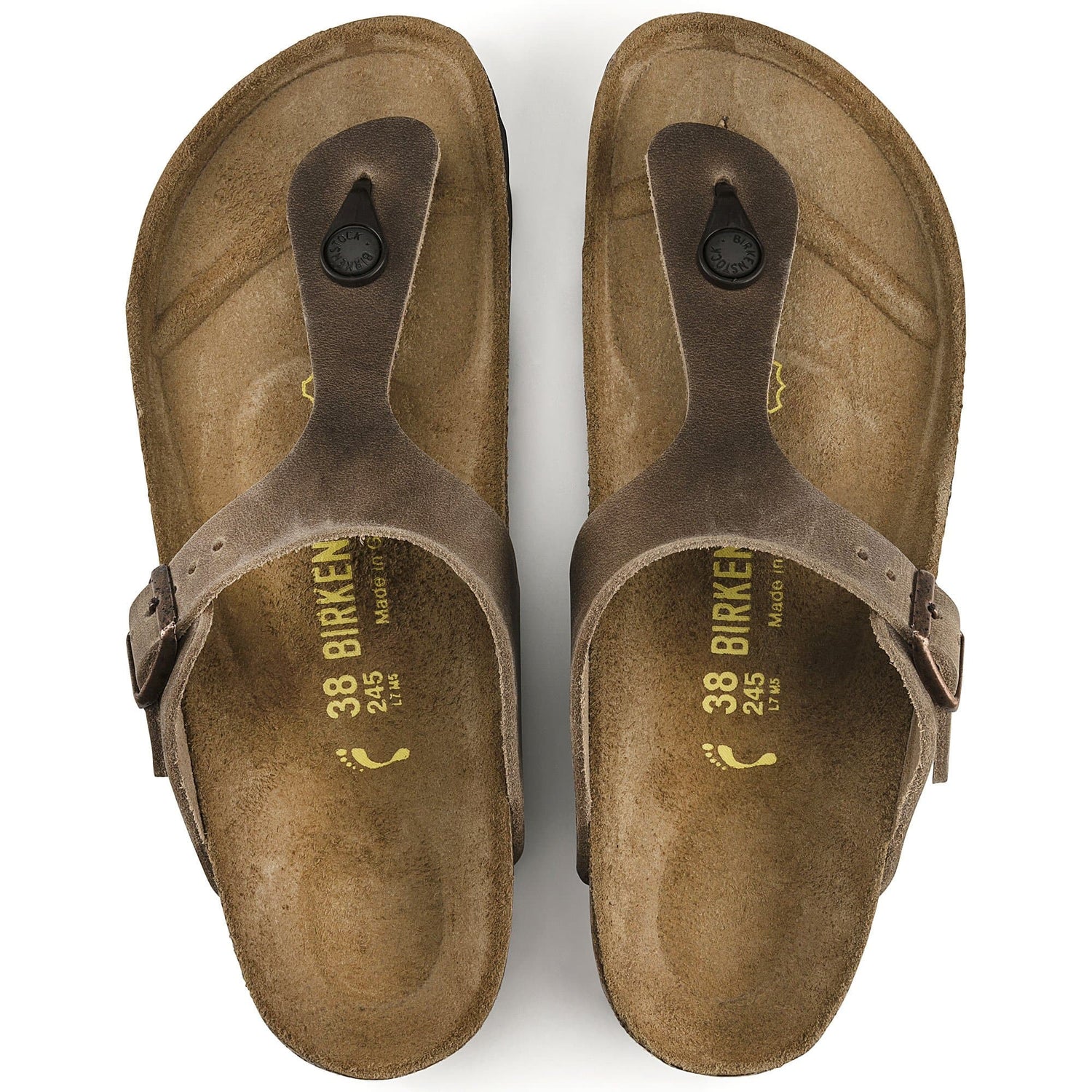 Gizeh Oiled Leather - BIRKENSTOCK